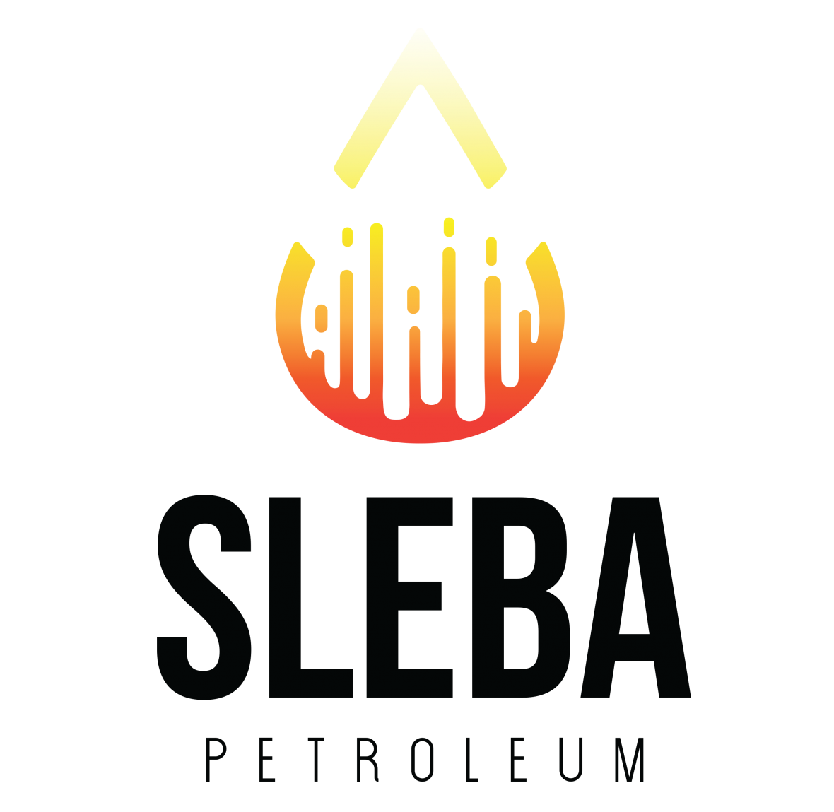 Sleba Enterprises